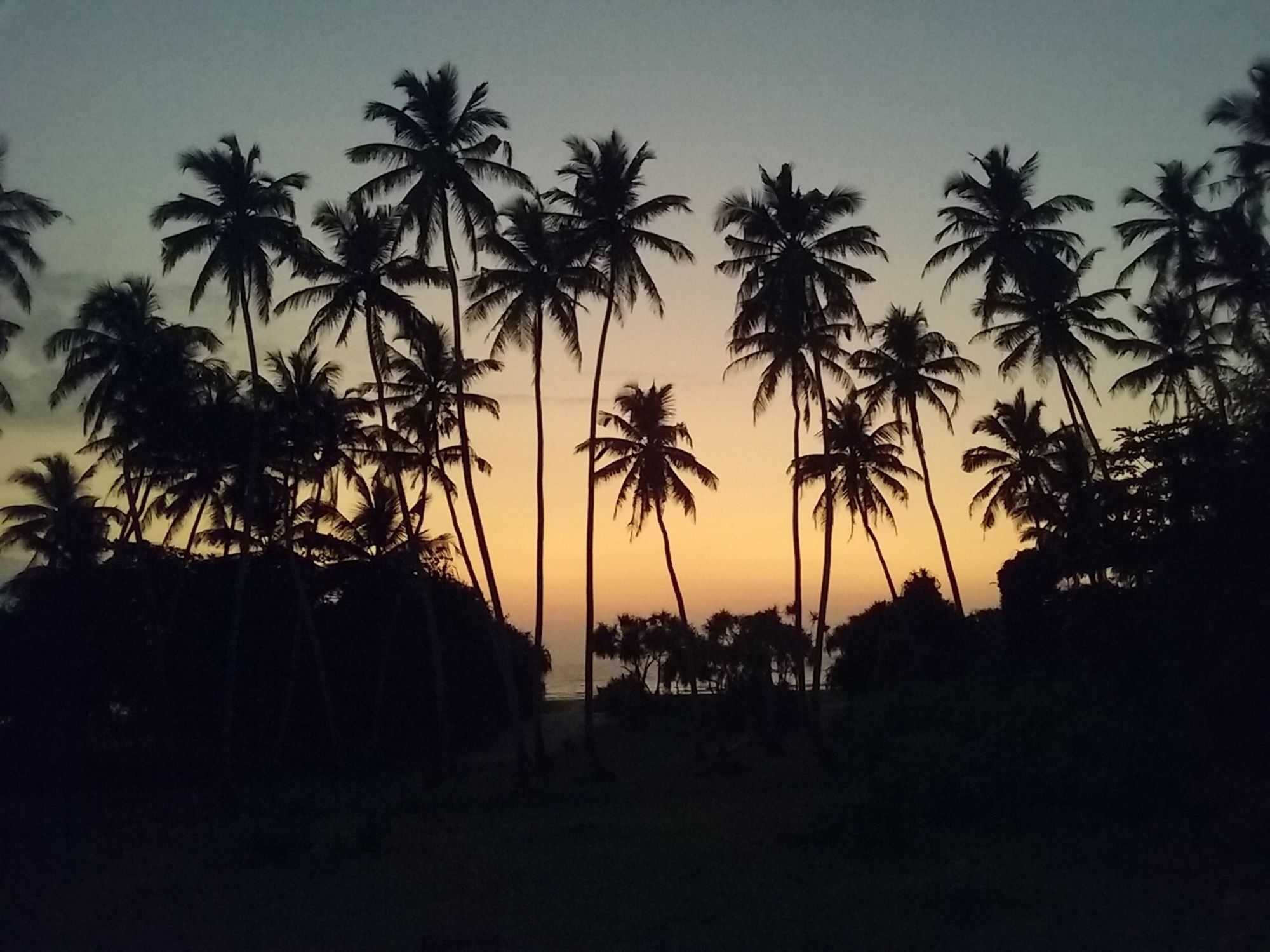Ocean View Hotel Bentota Exterior photo